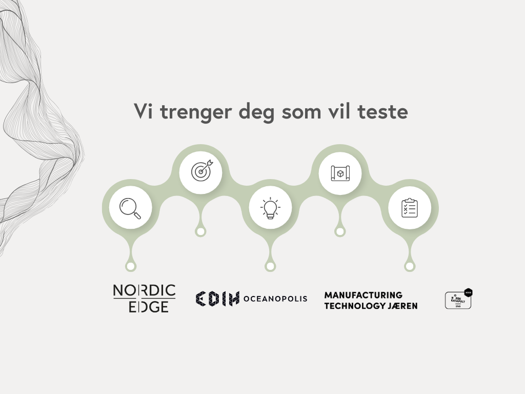 Vi jakter deg som vil teste din løsning!